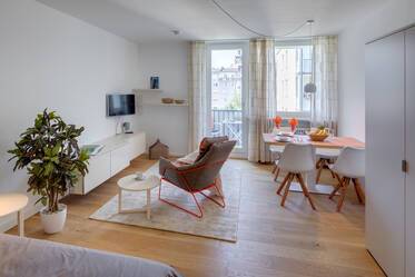 Quiet, sunny 1-room apartment in Neuhausen