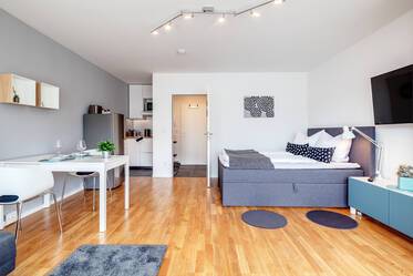 Modern 1-room apartment in Neuhausen