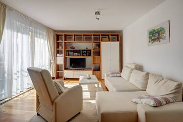 Spacious 1.5-room apartment in Glockenbachviertel