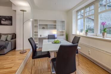 Bright souterrain apartment in turn of the century villa
