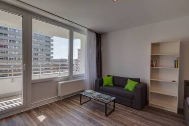 Like new furnished 1-room apartment 