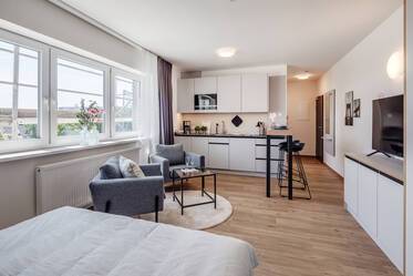 Nice apartment with high-quality furnishings