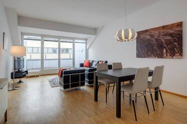 Sunny apartment with roof-terrace near Königsplatz