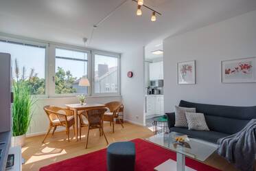 Charming 2-room apartment for rent