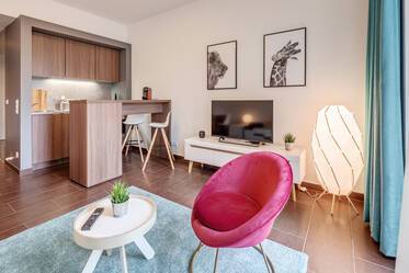Modernly furnished apartment for rent 