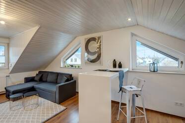 Bright attic apartment in Lerchenau