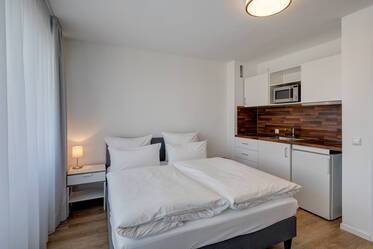 Newly renovated apartment near Dantebad