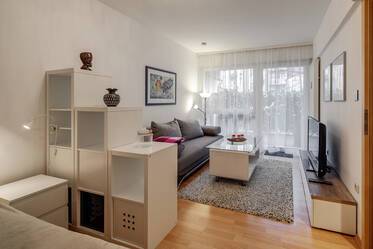 Central Au: 2-room apartment with terrace