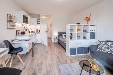 Beautifully furnished apartment in Arabellapark
