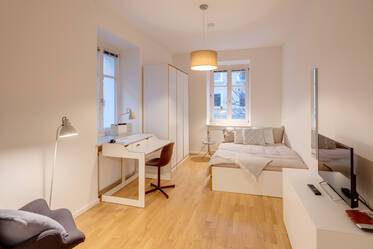 Fully furnished apartment in Untergiesing