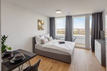 Nicely furnished apartment in Johanneskirchen