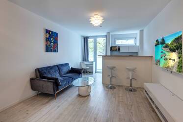 Modern 1-room apartment in Milbertshofen for rent