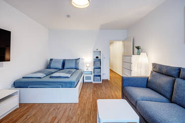 Spacious 1-room first floor apartment with terrace for rent