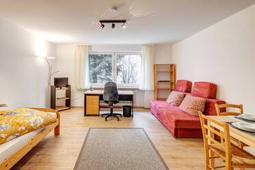 Furnished apartment in Maxvorstadt