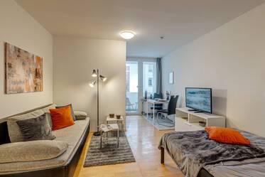 For rent: Bright apartment with balcony near BMW 