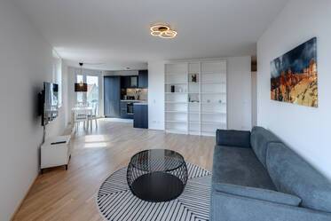 First occupancy - attic apartment in Plaza Pasing
