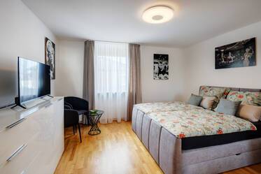 Large, furnished 1-room apartment for rent