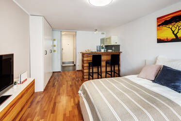 Newly furnished apartment with balcony in Berg am Laim