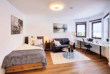 Spacious 1-room apartment north of Munich for rent