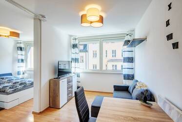 Nicely furnished studio in Maxvorstadt