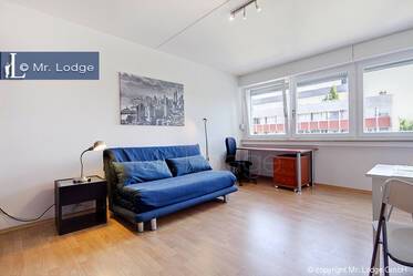 Maxvorstadt (near Josephplatz) - 6 minutes to U-Bahn Theresienstraße- Bright 1-room studio apartment