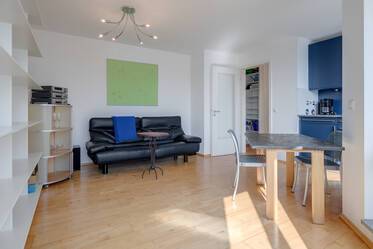 Neuhausen: sunny apartment with roof-terrace 
