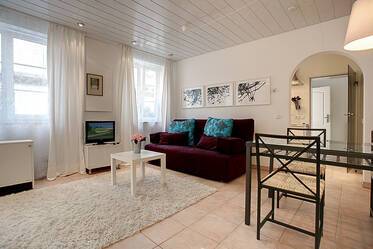 Beautifully furnished apartment in Isarvorstadt