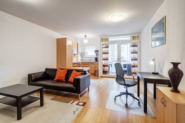 Furnished apartment in Ludwigsvorstadt