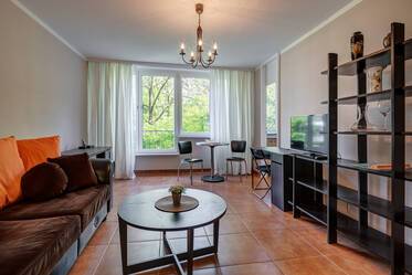 Bright and quiet 1-room apartment for rent