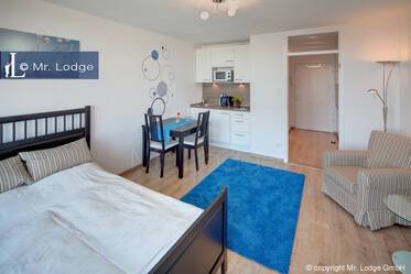 Bright, modern 1-room apartment with balcony