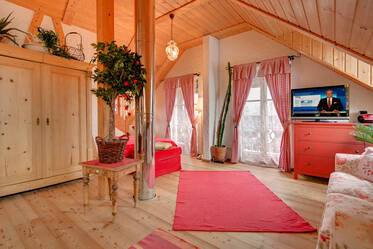 Generous 1-room apartment in country house style