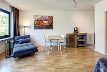 Furnished apartment near Donnersbergerbrücke for rent 