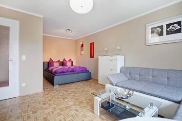 Beautiful large and modern furnished 1-room apartment