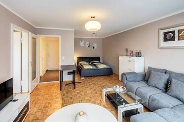 Beautiful large and modern furnished 1-room apartment