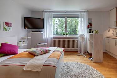 Bright and modern studio apartment with internet