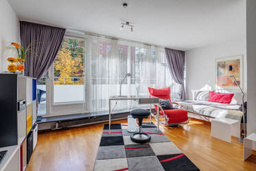 Lovely 1-room apartment with WLAN and balcony