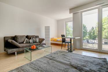 Well furnished rental apartment in Obergiesing