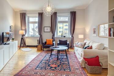 Sunny, very nicely furnished period apartment with internet