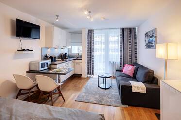 Beautifully furnished apartment in Neuhausen