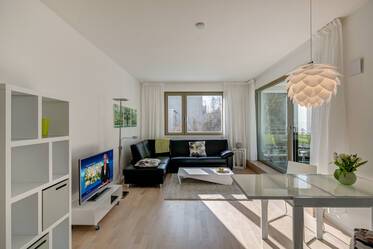 Modern apartment with balcony