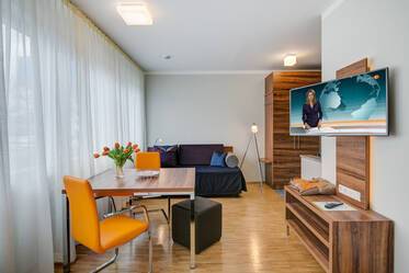 Modern single apartment