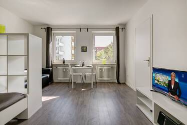 Spacious furnished 1-room apartment for rent