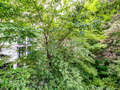 apartment München Maxvorstadt 02 view 10870
