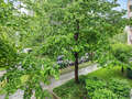 apartment München Oberföhring 04 view 11585
