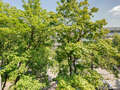 apartment München Milbertshofen 01 view 11650