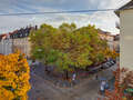 apartment München Schwabing (links der Leopoldstraße) 03 view 11895