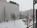 apartment München Schwabing (links der Leopoldstraße) 01 view 1191