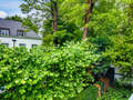 apartment München Herzogpark 01 view 12619