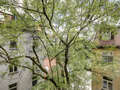apartment München Schwabing (links der Leopoldstraße) 01 view 1262