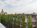 apartment München Au 05 communal terrace 13003